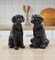 Ceramic Black Labrador Salt And Pepper Shakers, Home Décor, Gift for Her, Gift for Mom, Kitchen Décor, Gift for Dog Lover